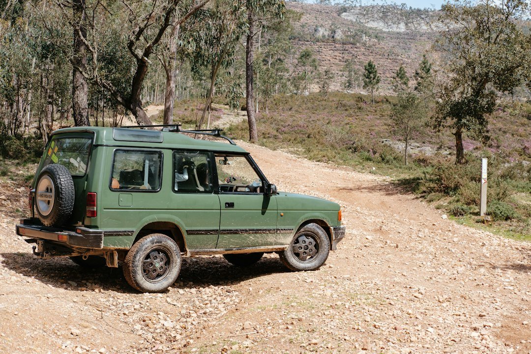 Πράσινο Land Rover Discovery σταματημένο σε χωματόδρομο με δέντρα.
